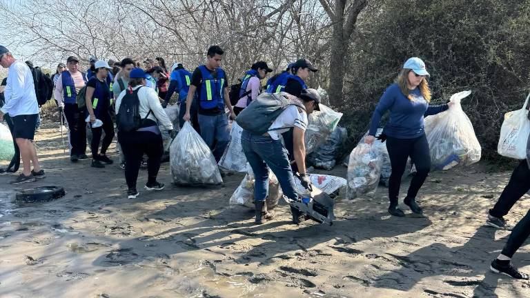 Los voluntarios limpiaron la zona de los manglares en la Isla de la Piedra.