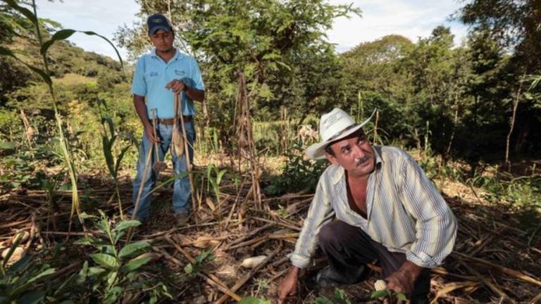 La “Semana de los Suelos” se realiza del 29 de noviembre al 6 de diciembre.