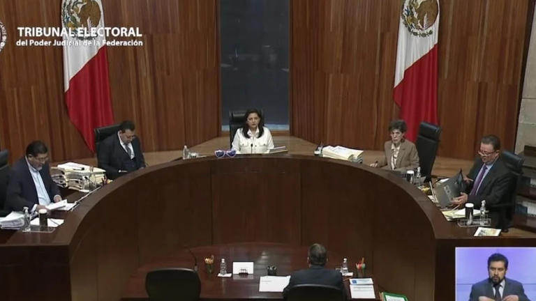 A favor votaron los magistrados Mónica Aralí Soto Fregoso , Felipe de la Mata Pizaña y Felipe Fuentes Barrera.