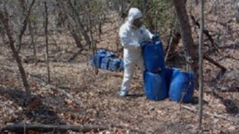 Los diez laboratorios asegurados fueron desmantelados por las fuerzas armadas.