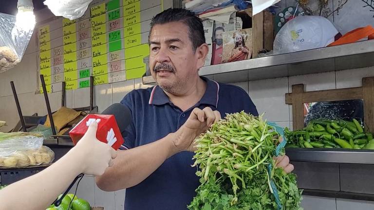 El precio del cilantro se ha incrementado debido a la baja producción por la sequía.