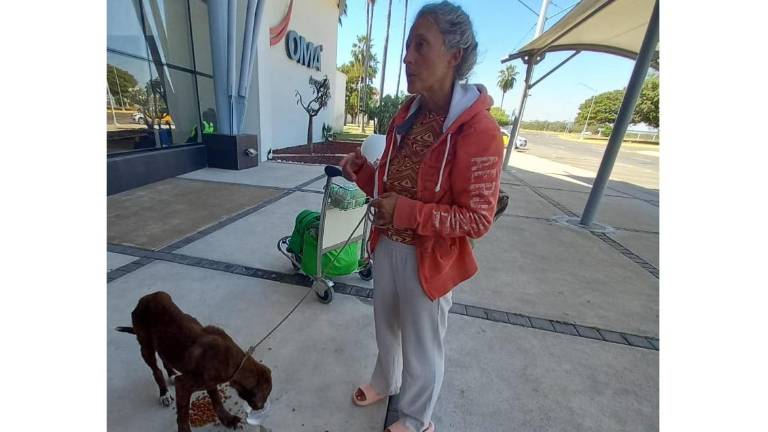 Ashley y su perro lucen muy delgados, presentan signos de desnutrición.