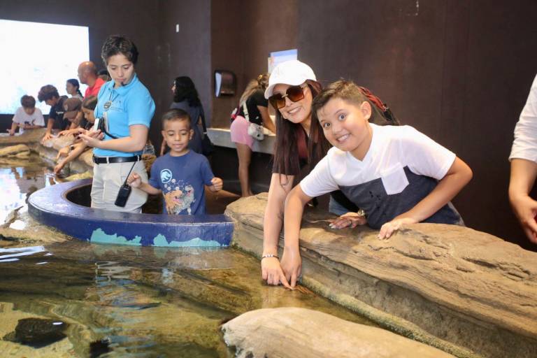 Hijos de trabajadores de Datemex celebran el Día del Niño con una ‘exploración’ en el Gran Acuario de Mazatlán