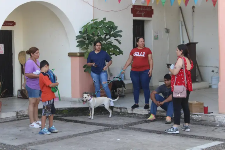 Los activistas informan que también aumentan los casos de maltrato animal.