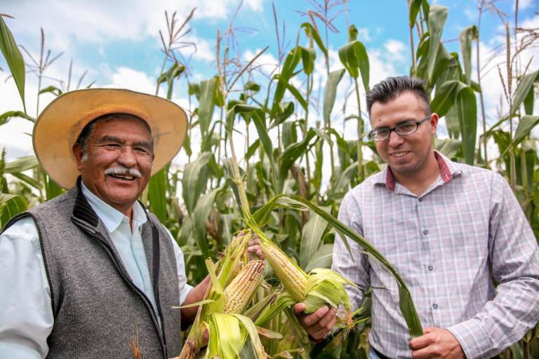 México alcanzará autosuficiencia de maíz blanco en 2025: Agricultura