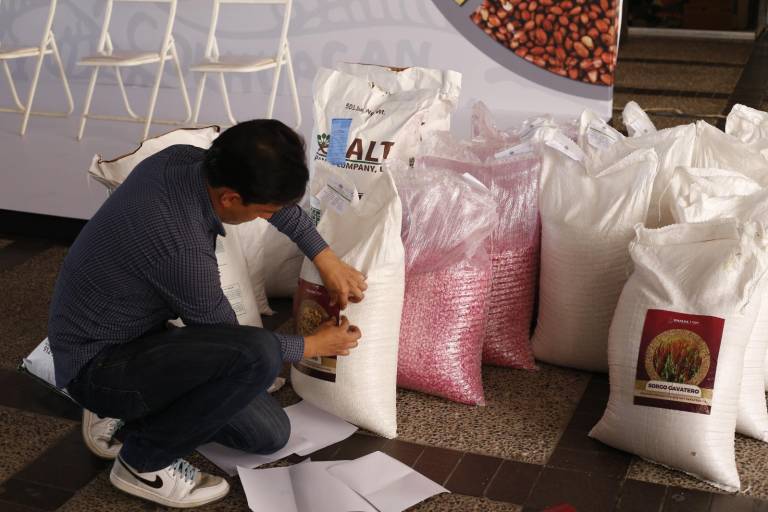 Inicia en Sinaloa entrega de semilla a productores de cacahuate, sorgo, maíz nativo, garbanzo y frijol