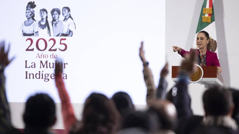 La Presidenta de México Claudia Sheinbaum Pardo pidió investigar los trámites de amparo para los hijos de AMLO.