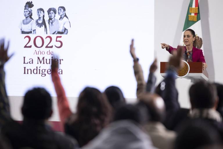 Sheinbaum pide investigar trámites de amparo para hijos de AMLO