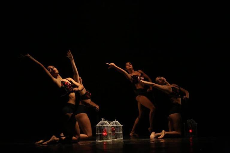 Presentará la Compañía Danza Joven ‘Columnas Sinaloa’