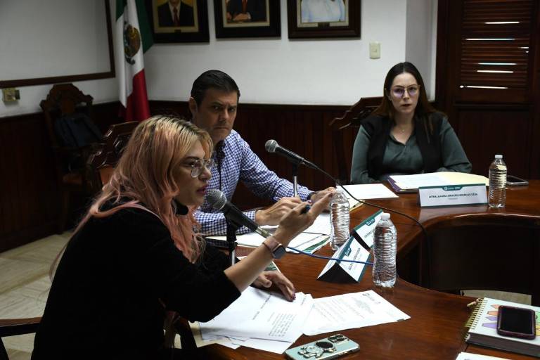 Ante cabildo, Sippina Culiacán planea proponer programa ‘Felizmente’ enfocado a la salud mental de niños y niñas