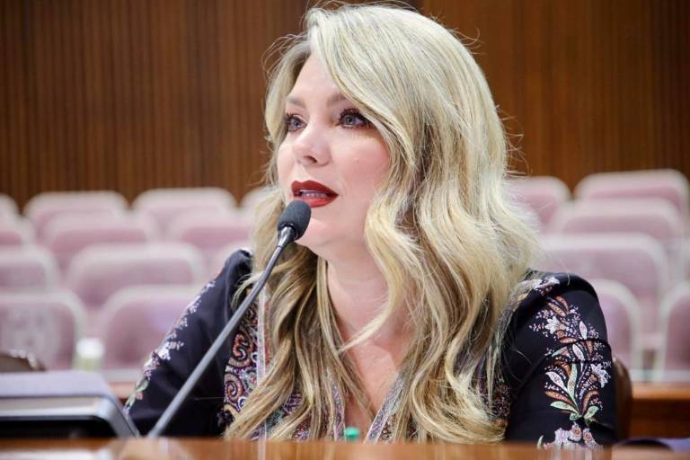 Diputada pide pena máxima de resultar culpable hombre detenido por pornografía infantil