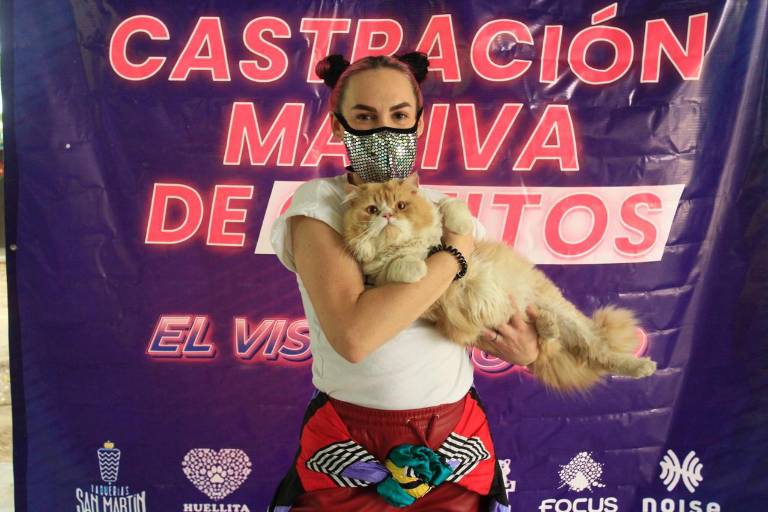 ‘El Viscocho’ se une a campaña de esterilización de gatos