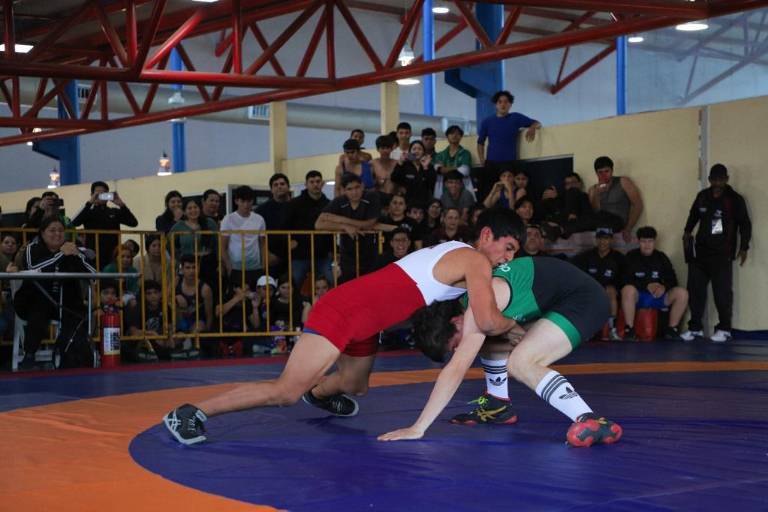 Domina Ahome Estatal de Luchas