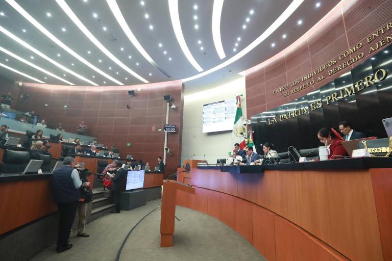 Obispos piden congruencia en la designación de diputados plurinominales