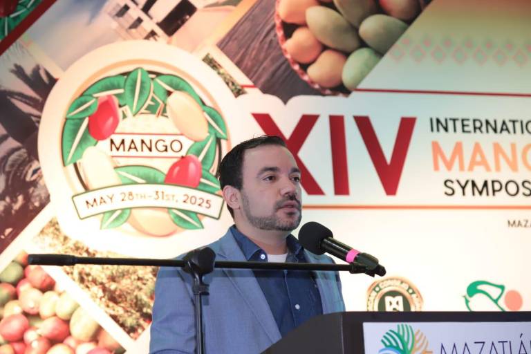 Sequía extrema golpea la producción de mango en Sinaloa