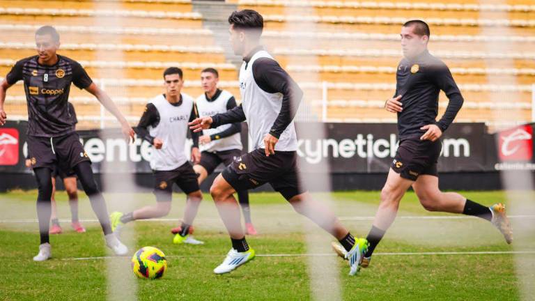 El Gran Pez espera recuperar el rumbo.