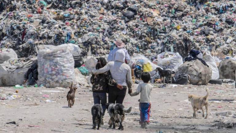 Solo se recicla 9 % de los plásticos producidos y 12 % acaba en incineradoras.