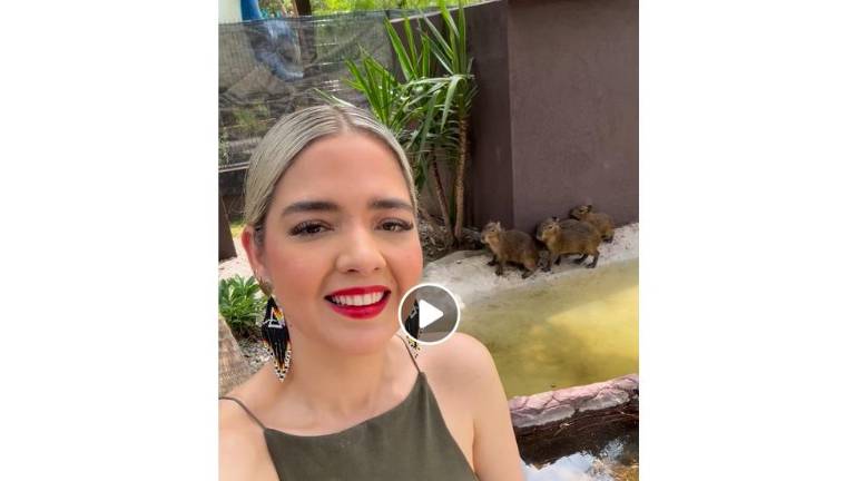 Estrella Palacios anunció a través de un video en sus redes sociales, la llegada de los capibaras a Mazatlán.