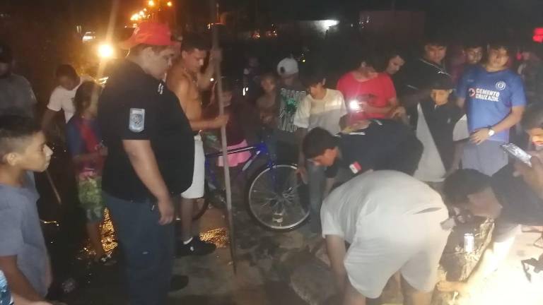 El animal en el momento de ser sometido por elementos de Protección Civil y habitantes del fraccionamiento.