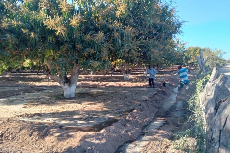 Para que quede al 100% por ciento los canales de riego requerirá de un proceso largo: AARB