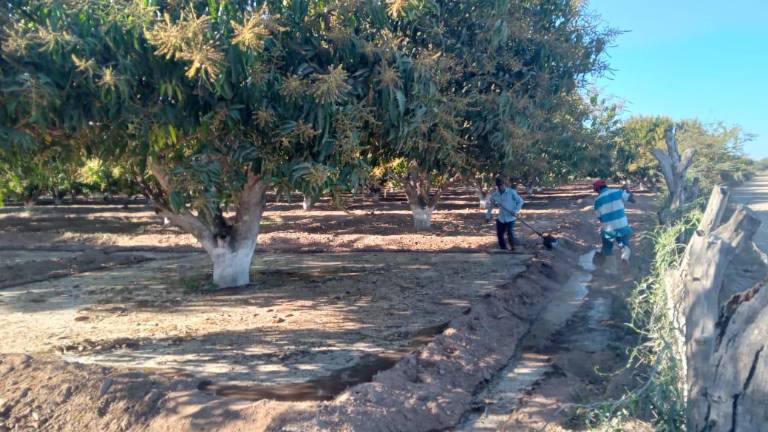 Para los agricultores de Rosario, para que los canales de riego queden al 100 por ciento funcionando requerirá de más tiempo.