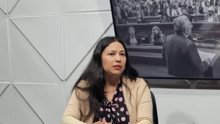 Sibely Cañedo Cázarez, activista e investigadora en Iniciativa Sinaloa.