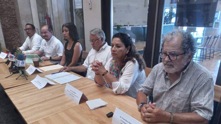Activistas, académicos y ambientalistas advierten del error de retirar mangle del Arroyo Jabalines.