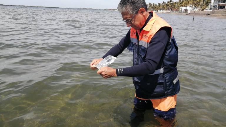 A través de diferentes muestras, determinan si las playas son óptimas para los bañistas.