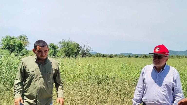 La obra será construida en los límites de las comunidades de la Reforma y la Laguna.