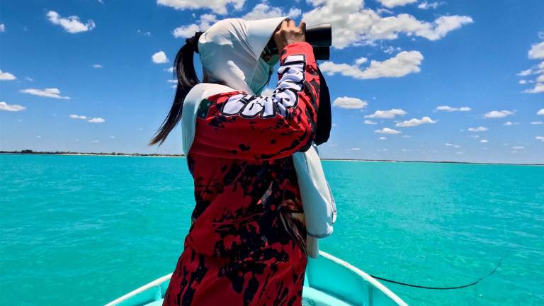 En el litoral yucateco, grupos de mujeres se han organizado para proteger su costa.
