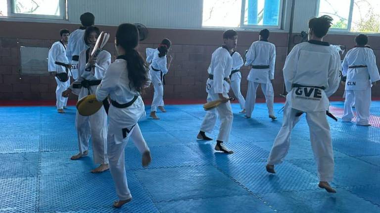 Los taekwondoínes mazatlecos acudirán al campamento de entrenamientos en Culiacán este próximo fin de semana.