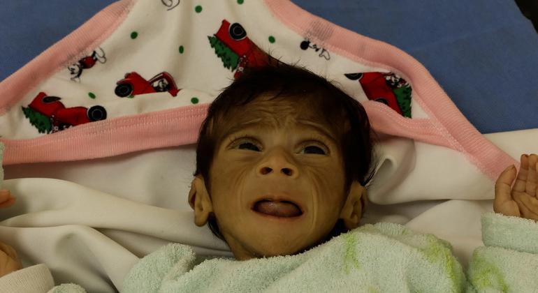$!Gaza se muere de hambre: Llamados de auxilio en medio del bloqueo