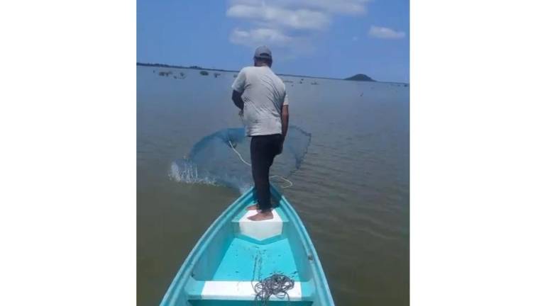 En las marismas de La Concha, un muestreo dio resultados negativos de presencia de camarón.