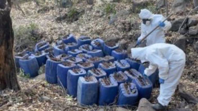 Uno de los laboratorios clandestinos de drogas localizados en Sinaloa.