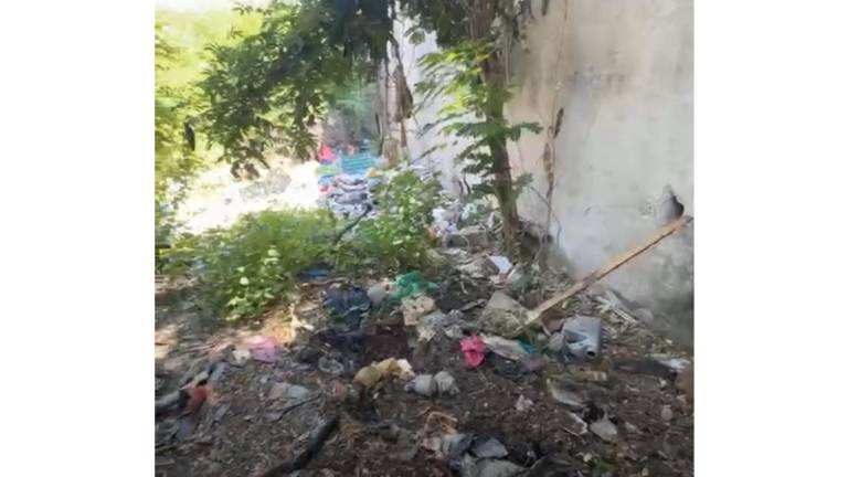 En un lote baldío al norte de Mazatlán fue encontrado el cuerpo de una persona envuelta en plástico.