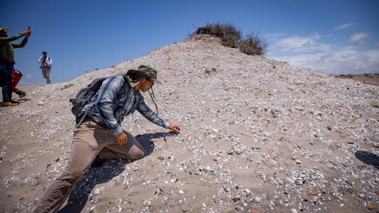 En la Isla Macapule, en Guasave, localizan piezas arqueológicas que podrían ser de 1400 antes de Cristos y que marca la frontera norte de Mesoamérica.