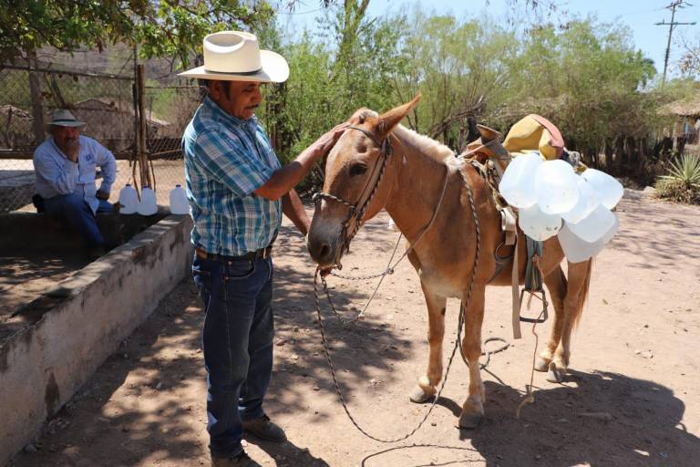 Sin declaratoria de emergencia por sequía en Sinaloa, familias de Mazatlán reciben dotación de agua