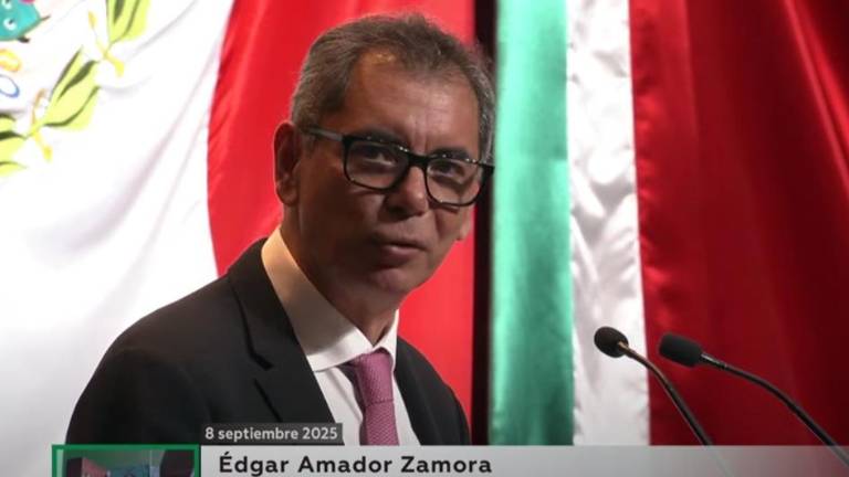 Édgar Abraham Amador Zamora, titular de la Secretaría de Hacienda y Crédito Público (SHCP).