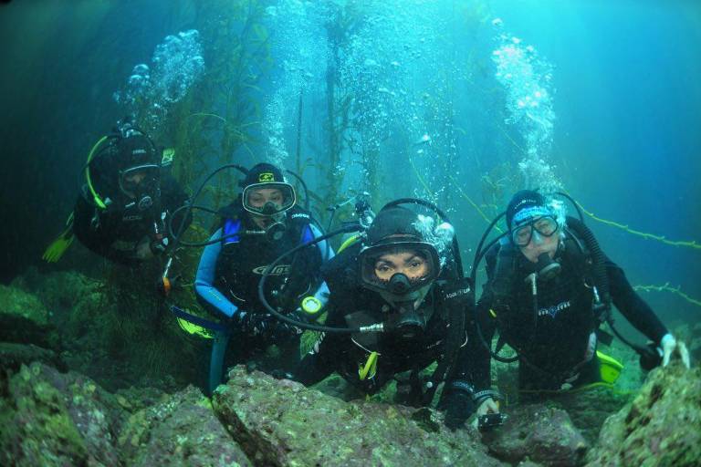 Sirenas de Natividad: las mujeres que exploran y defienden el mar en México