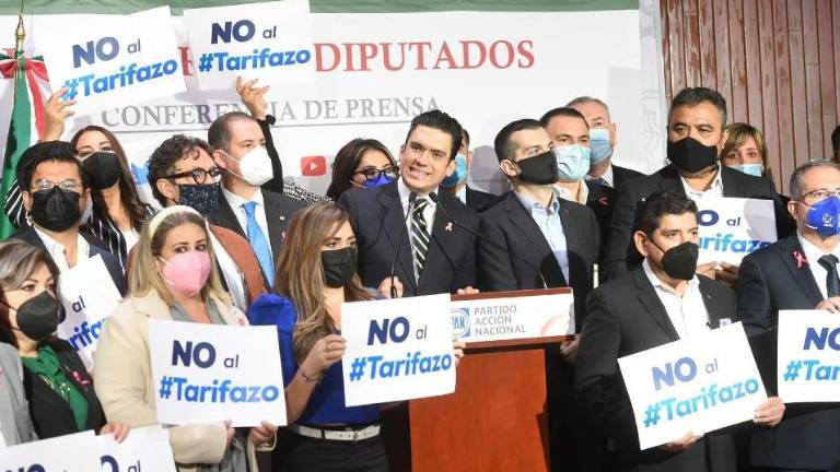 La postura del PAN es votar en contra de la reforma eléctrica.