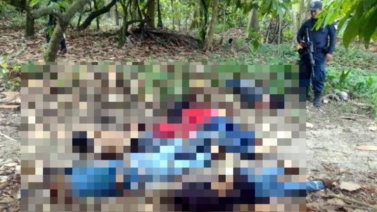 Los cuerpos fueron dejados en un terreno baldío del municipio de Paraíso, en Tabasco.