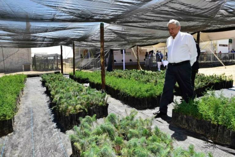 AMLO llevará a John Kerry a Tabasco para que conozca programa Sembrando Vida