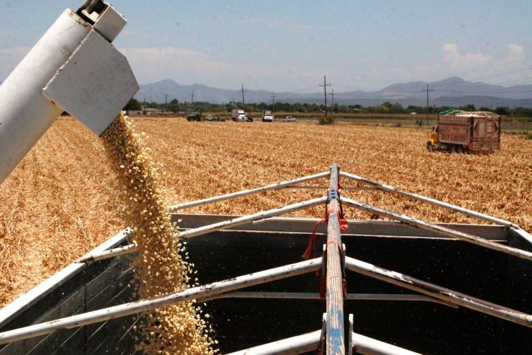 Baja ligeramente producción esperada este año y los inventarios en reporte de USDA
