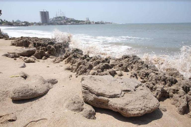 Estrategias básicas para la conservación de las playas de Mazatlán y costa sur de Sinaloa