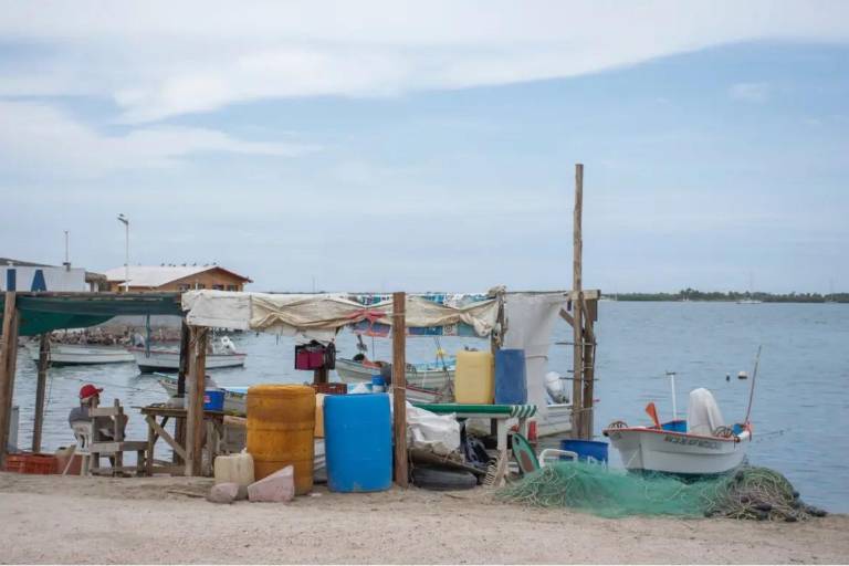 Anuncian Summit de Foro Mar de Cortés que presentará proyectos para reducir la huella de carbono