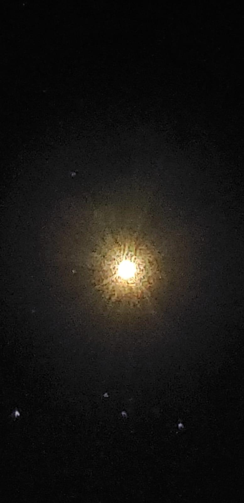 $!‘El Petas’ buscaba al conejo de la luna y se enamoró del universo