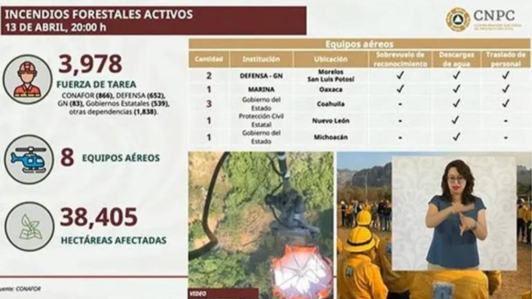 Actualmente, en México se tienen registrados 114 incendios forestales activos, ocho de los cuales están en Sinaloa.