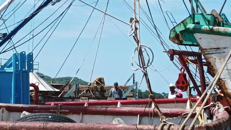 A semanas de iniciar la temporada de captura de camarón ya se percibe un déficit de tripulantes en la flota camaronera.