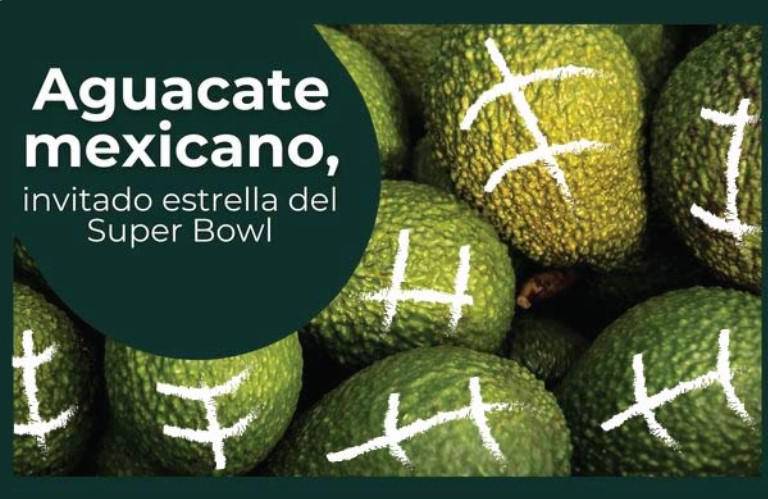 Es México líder mundial en producción y exportación de aguacate: Sader