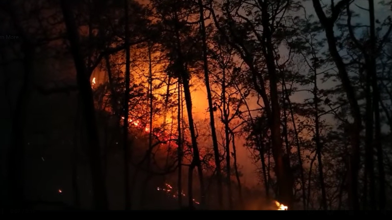 El incendio forestal reportado por habitantes en la zona de Surutato, Badiraguato, está bajo control de alrededor de 90 brigadistas, dijo la titular de la Sebides.